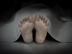 Geger! Seorang Guru di Bantarbolang Ditemukan Meninggal Dunia di Kamar Mandi Sekolah