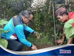 Pemerintah Desa Gunungjaya menanaman Pohon Serentak, Hijaukan Pemalang untuk Masa Depan Berkelanjutan
