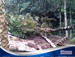 Akibat hujan di sertai angin kencang Pohon Tumbang Timpa Rumah Warga di Desa Cibuyur